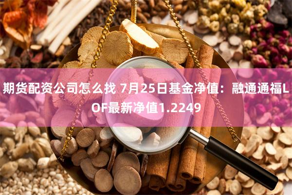 期货配资公司怎么找 7月25日基金净值：融通通福LOF最新净值1.2249