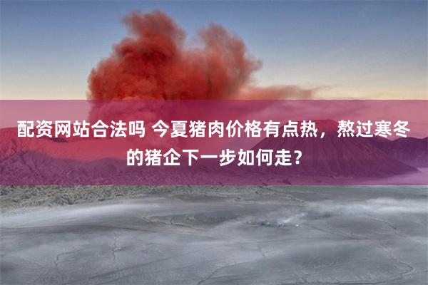 配资网站合法吗 今夏猪肉价格有点热，熬过寒冬的猪企下一步如何走？