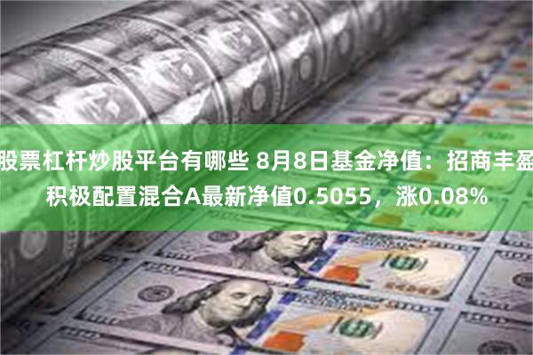 股票杠杆炒股平台有哪些 8月8日基金净值：招商丰盈积极配置混合A最新净值0.5055，涨0.08%