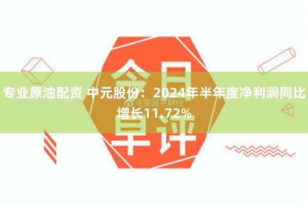 专业原油配资 中元股份：2024年半年度净利润同比增长11.72%