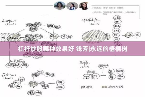 杠杆炒股哪种效果好 钱芳|永远的梧桐树