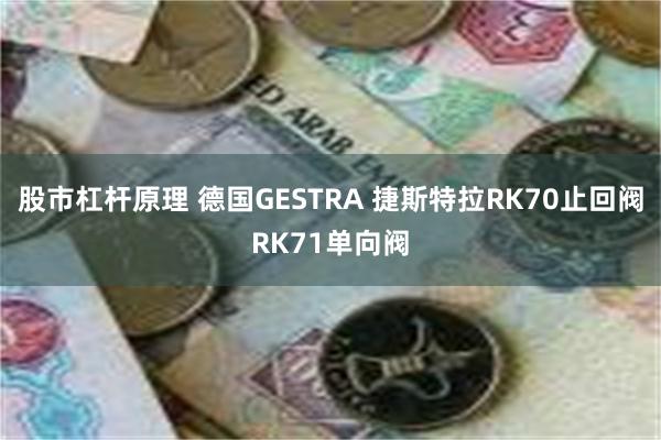 股市杠杆原理 德国GESTRA 捷斯特拉RK70止回阀RK71单向阀