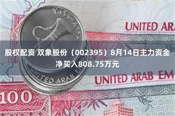 股权配资 双象股份（002395）8月14日主力资金净买入808.75万元