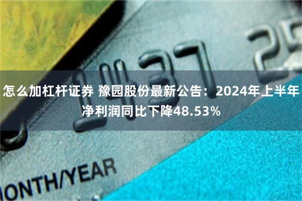 怎么加杠杆证券 豫园股份最新公告：2024年上半年净利润同比下降48.53%