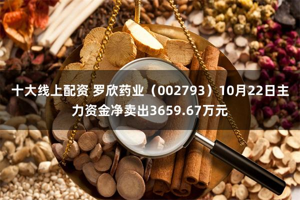 十大线上配资 罗欣药业（002793）10月22日主力资金净卖出3659.67万元