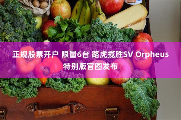 正规股票开户 限量6台 路虎揽胜SV Orpheus特别版官图发布