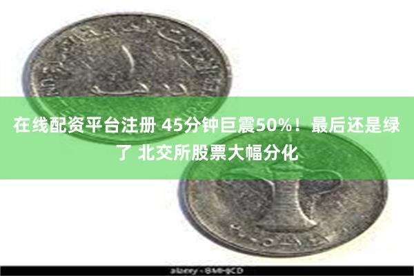 在线配资平台注册 45分钟巨震50%！最后还是绿了 北交所股票大幅分化