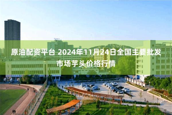 原油配资平台 2024年11月24日全国主要批发市场芋头价格行情