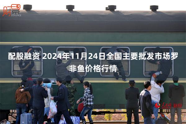 配股融资 2024年11月24日全国主要批发市场罗非鱼价格行情