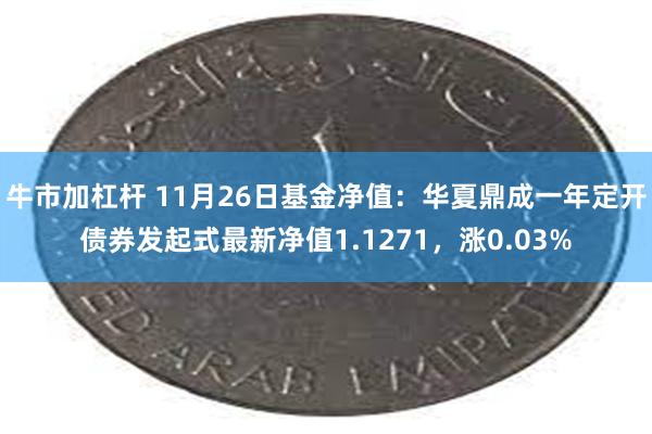 牛市加杠杆 11月26日基金净值：华夏鼎成一年定开债券发起式最新净值1.1271，涨0.03%