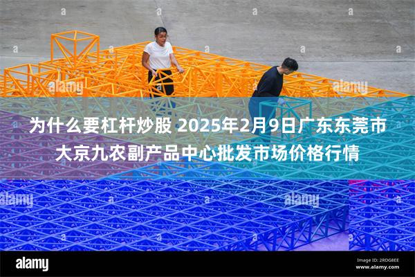 为什么要杠杆炒股 2025年2月9日广东东莞市大京九农副产品中心批发市场价格行情